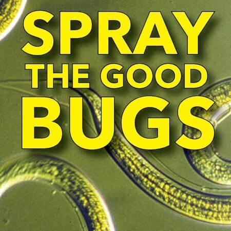 Beneficial Nematodes for Your Garden - Chapin International