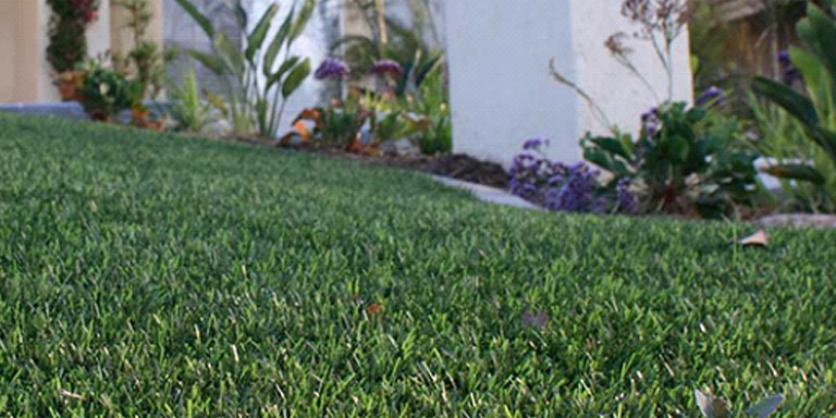 How to Treat Weeds in Artificial Grass and Pavers