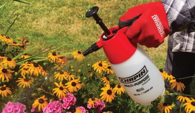 Spraying flowers with Chapins 1002 multipurpose handheld sprayer