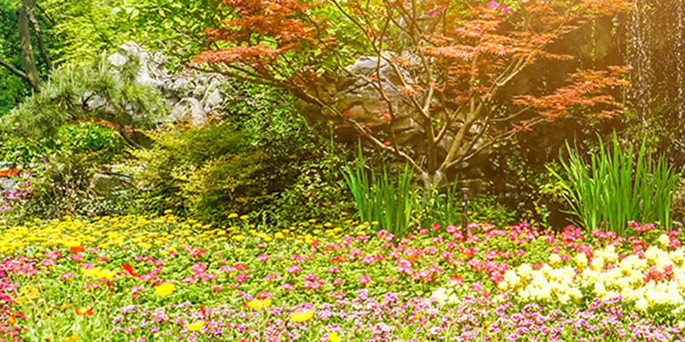 Spring Serenity: Crafting an Outdoor Haven for Relaxation