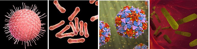 Germs: Chicken Pox, Diphtheria, Polio, Typhoid Fever