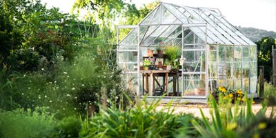 Glass greenhouse in countryside