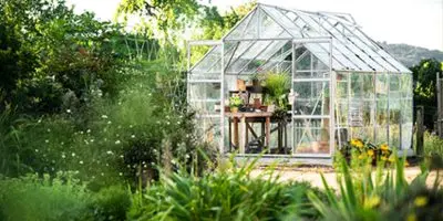 Glass greenhouse in countryside