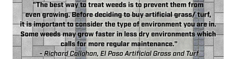 Quote by El Paso Artificial Grass and Turf