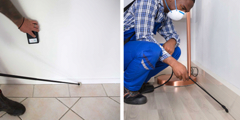 Treating & spraying termites in the home