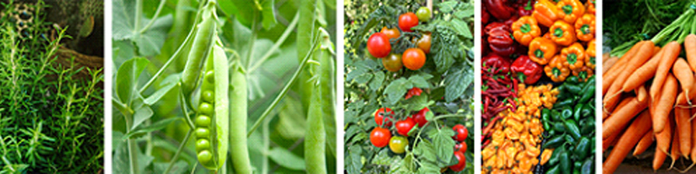 Multiple vegetables