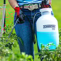 Chapin 20002 in vegetable garden