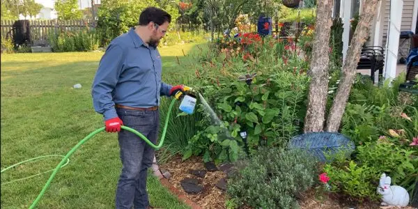 Chapin's G362D hose end spraying garden plants