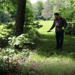 Spraying weeds with the Chapin 60100 backpack sprayer