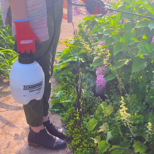 Chapin 16100 Lawn & Garden Sprayer spraying plants