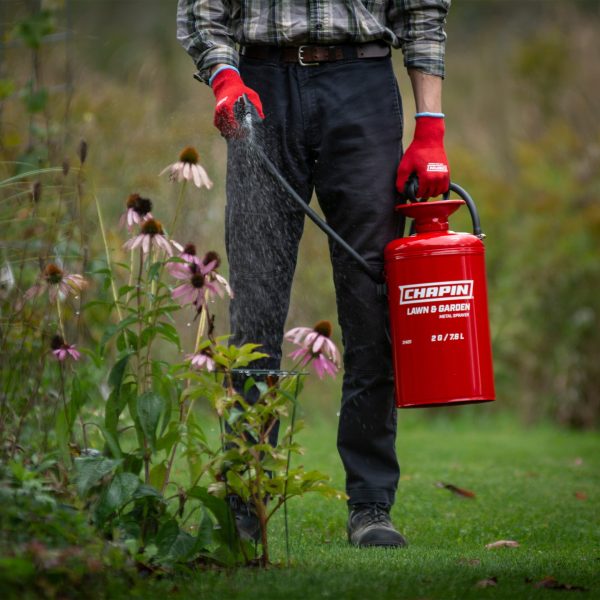 Chapin 31420 2 Gallon Tri-Poxy Steel Lawn & Garden Hand Pump Sprayer use
