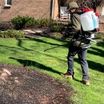 Chapin 63950 Mixes on Exit 4 Gallon Backpack Sprayer spraying weeds