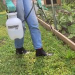 Chapin 20000 1 Gallon Lawn and Garden Hand Pump Sprayer