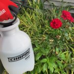 Chapin 20000 1 Gallon Lawn and Garden Hand Pump Sprayer