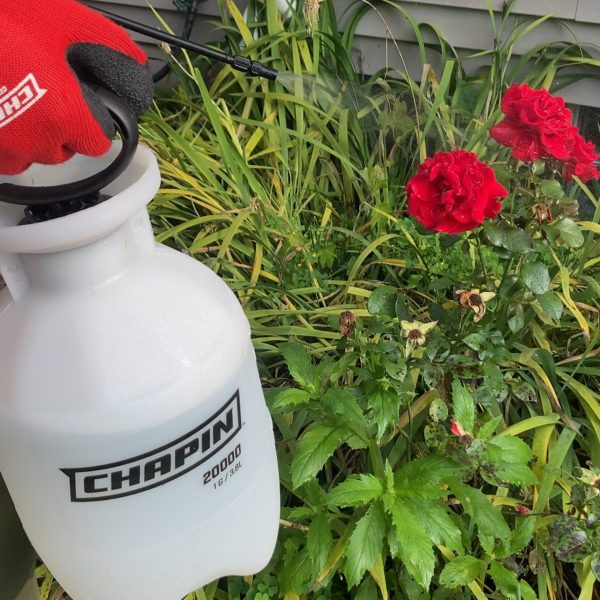 Chapin 20000 1 Gallon Lawn and Garden Hand Pump Sprayer