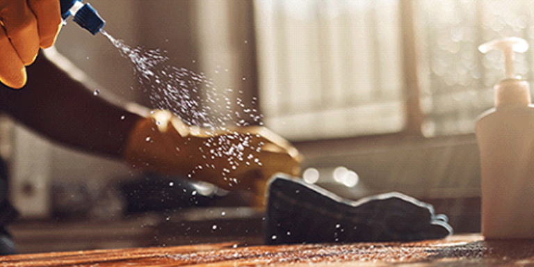 Spraying countertops and surfaces to prevent pests