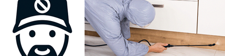 Professional exterminator spraying inside home
