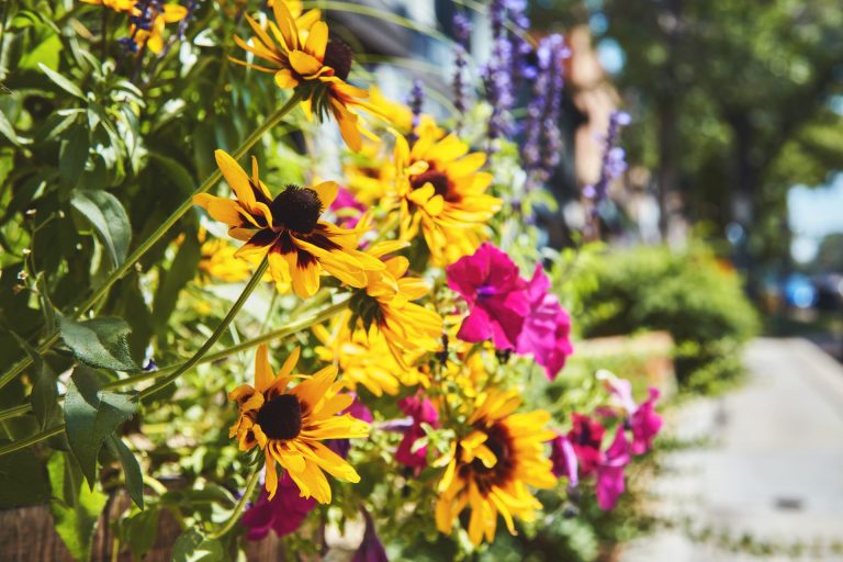 Beneficial Nematodes for Your Garden