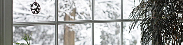 Inside window with winter and snow outdoors