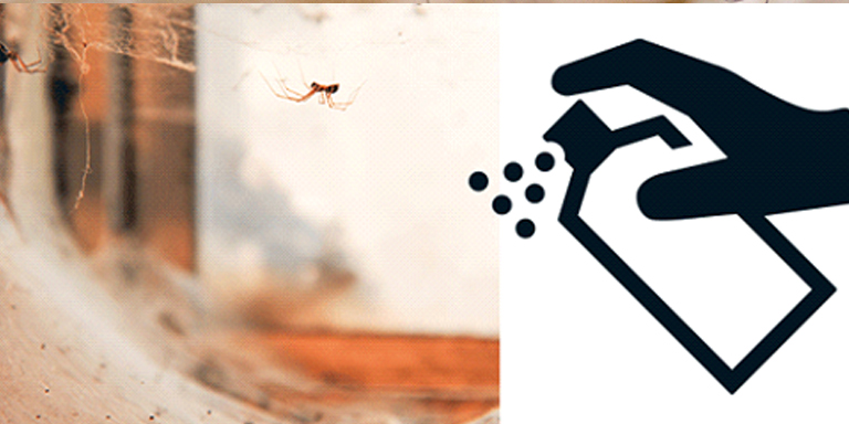 Spiders nest with spray graphic