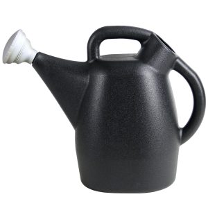 Chapin 2 Gallon watering can