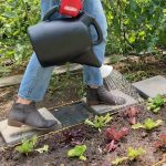Chapin 2 Gallon watering can water vegetables