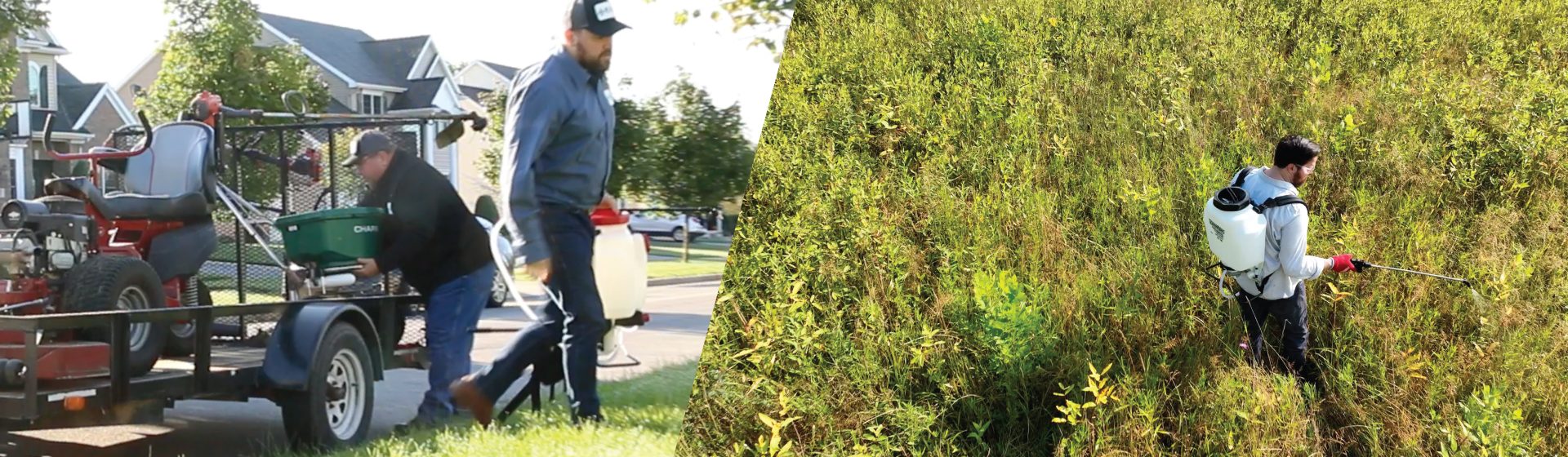 Professional Lawn & Landscape Graphic
