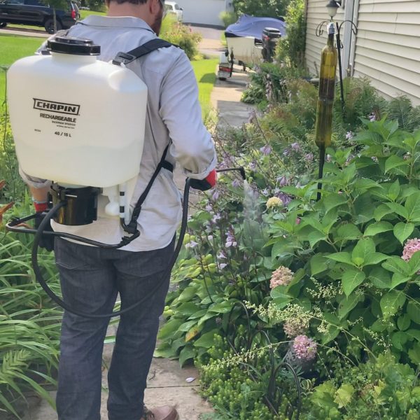 Chapin 60124 rechargeable backpack sprayer spraying landscaping