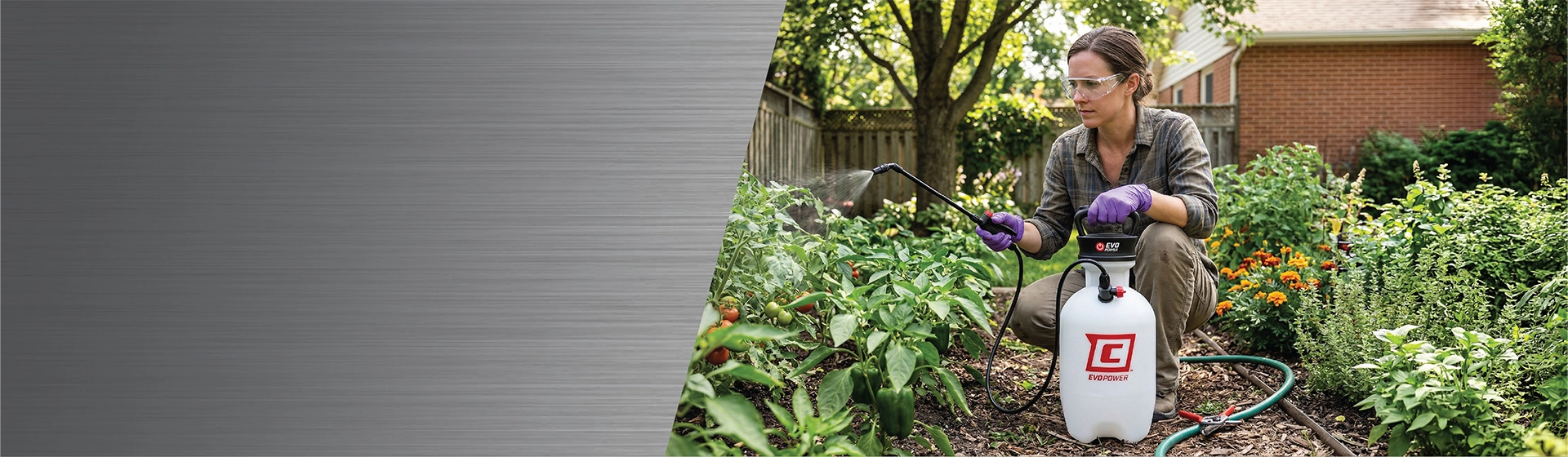 Chapin EVO Power Sprayer in garden, spraying plants