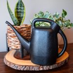 Chapin 48000 half gallon watering can sitting on table