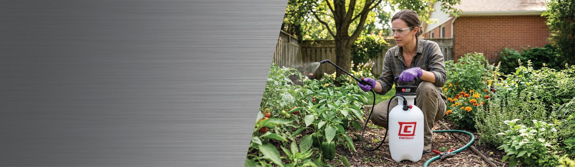 Chapin EVO Power Sprayer in garden, spraying plants