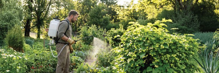 Chapin backpack sprayer in garden spraying plants and vegetables