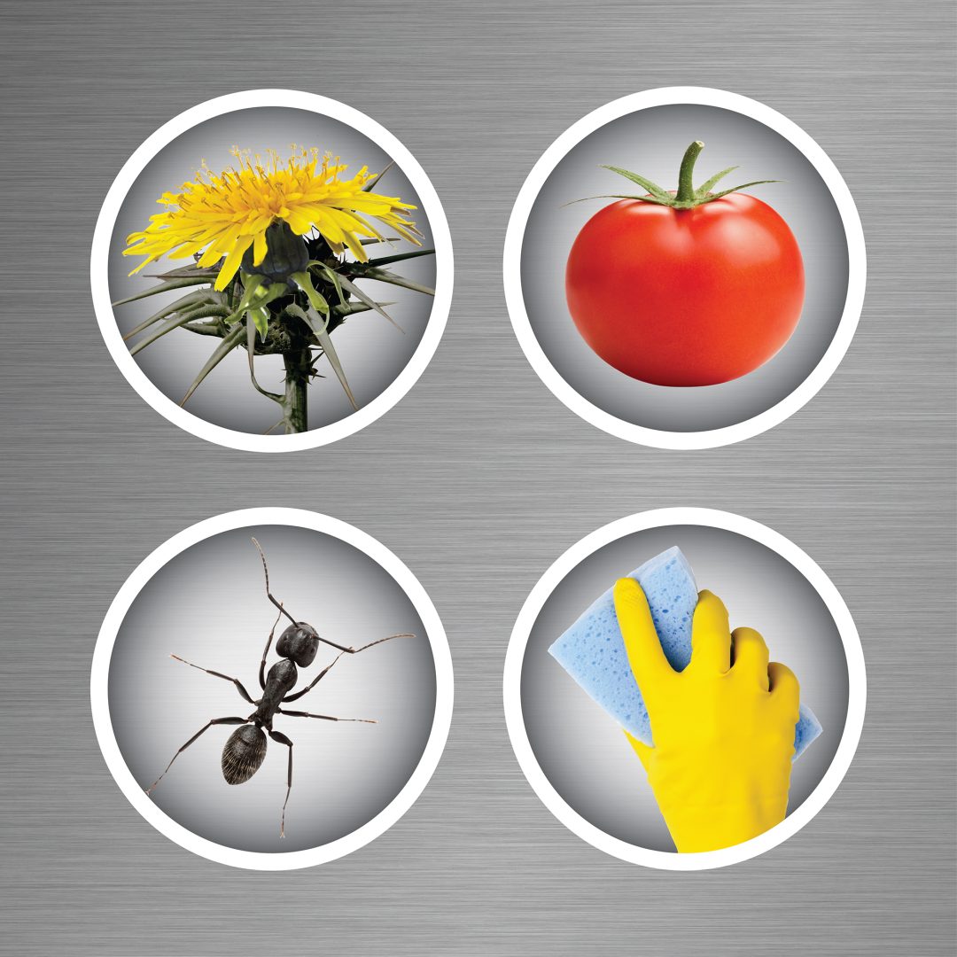 16100_-72 Applications graphic with pictures of vegetables, cleaning, pests, and weeds. Weed control, Pest Killer, cleaners, fertilizers.