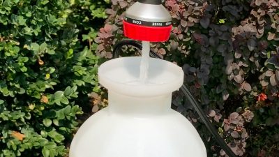 filling-test-1