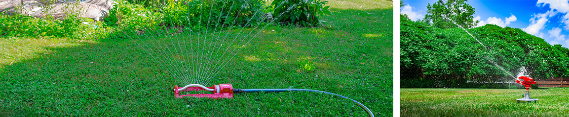 lawn care - watering lawn with Chapin impact sprinkler and oscillating sprinkler